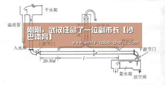 沙巴体育