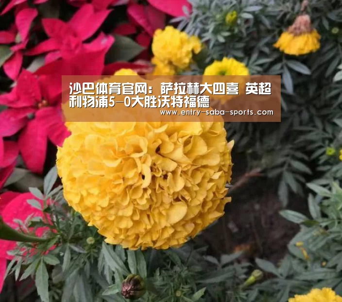 沙巴官方