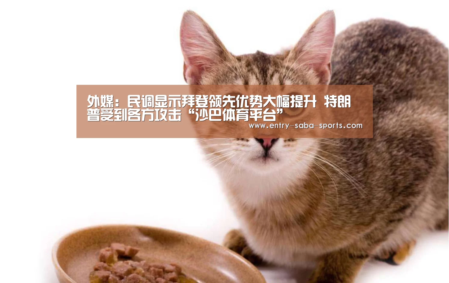 外媒:民调显示拜登领先优势大幅提升 特朗普受到各方攻击“沙巴体育平台”(图2) 沙巴体育平台